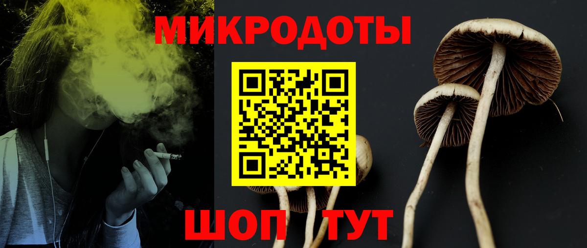Псилоцибиновые грибы Psilocybe  Псилоцибиновые грибы Cubensis  Сертолово  Вход с VPN 